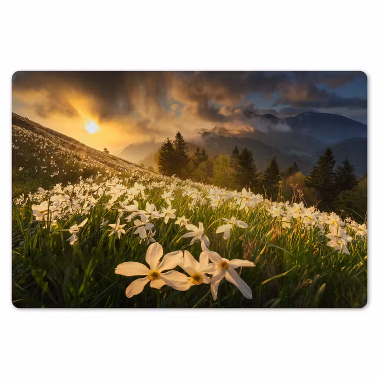 Bloemenveld - Heuvels - Zonsondergang - Berg - Natuur - Wit - Heuvels Placemat vinyl groot -zzsfeer1_Kitchenyeah-website