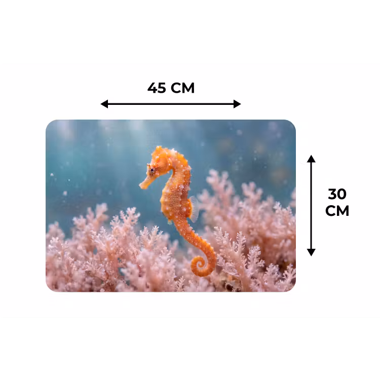 Vis - Koraal - Oceaan - Macro - Oranje Placemat vinyl groot -specs