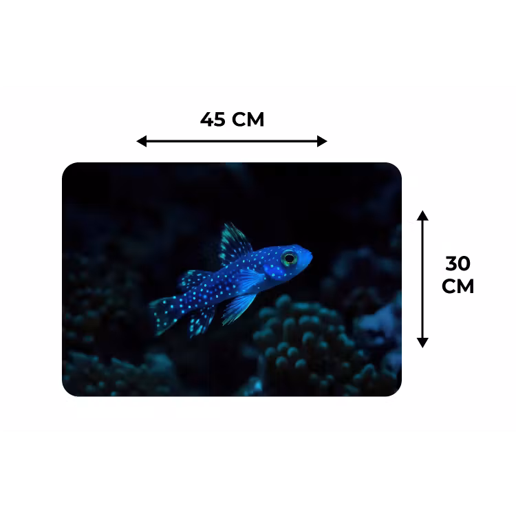 Vis - Stippen - Koraal - Blauw Placemat vinyl groot -specs
