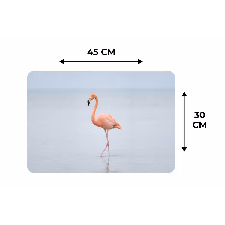 Flamingo - Zee - Roze Placemat vinyl groot -specs