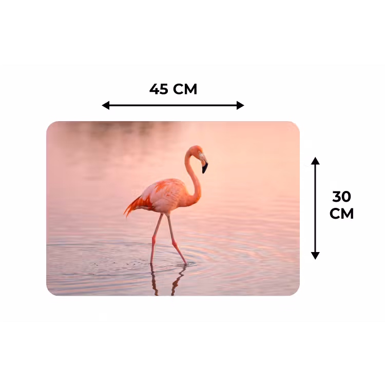 Flamingo - Water - Roze Placemat vinyl groot -specs