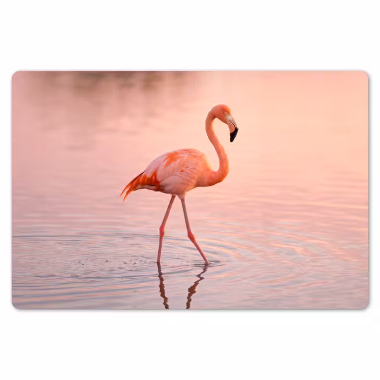 Flamingo - Water - Roze Placemat vinyl groot -zzsfeer1_Kitchenyeah-website