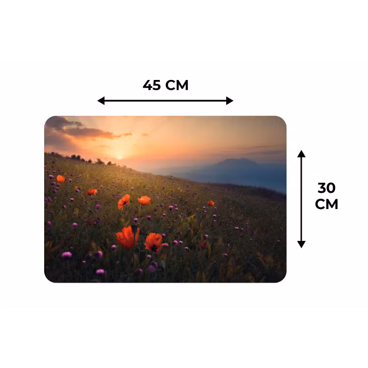 Bloemenveld - Gras - Bloemen - Planten - Zonsondergang - Oranje Placemat vinyl groot -specs