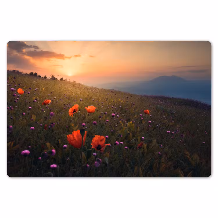 Bloemenveld - Gras - Bloemen - Planten - Zonsondergang - Oranje Placemat vinyl groot -zzsfeer1_Kitchenyeah-website