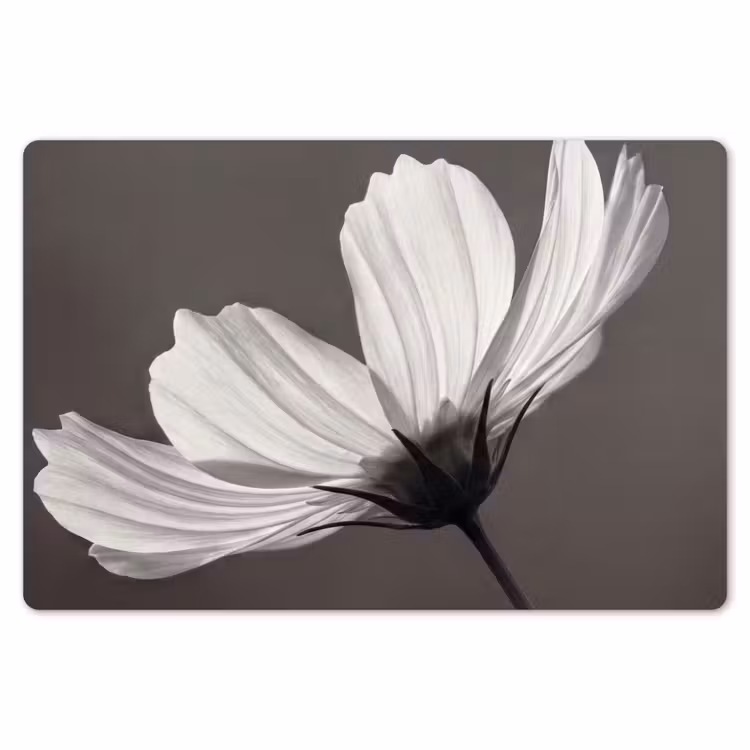 Bloem - Minimalistisch - Zwart - Wit Placemat vinyl groot -zzsfeer1_Kitchenyeah-website