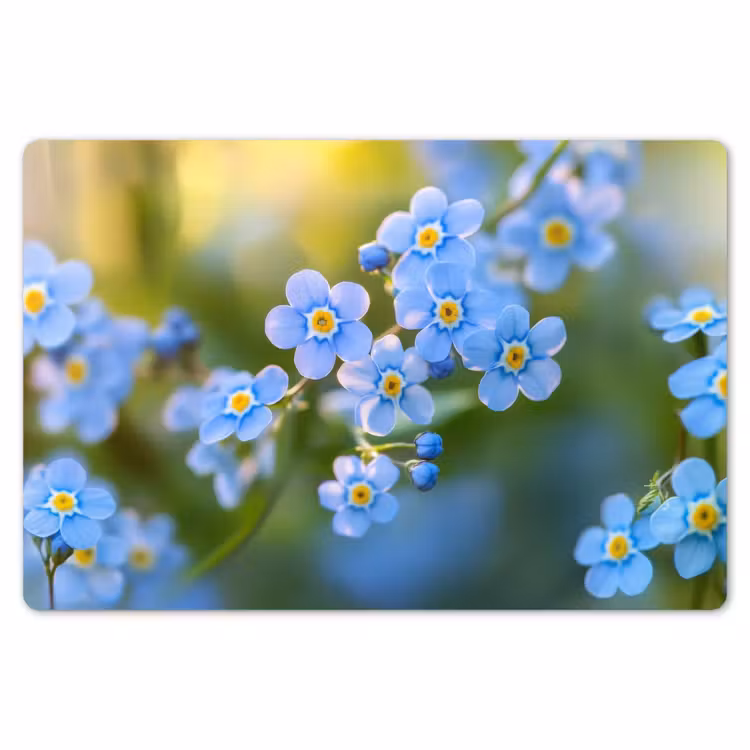 Bloemetjes - Blauw - Vergeet mij nietjes Placemat vinyl groot -zzsfeer1_Kitchenyeah-website