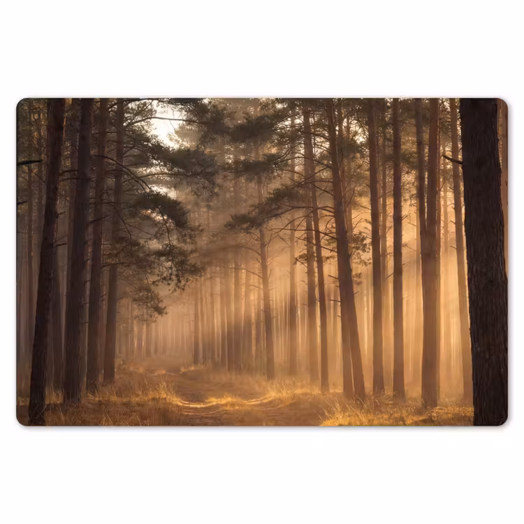 Bos - Mist - Zonlicht Placemat vinyl groot -zzsfeer1_Kitchenyeah-website