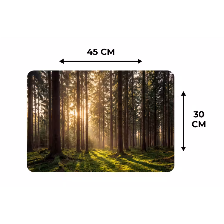Bos - Gras - Zonlicht Placemat vinyl groot -specs