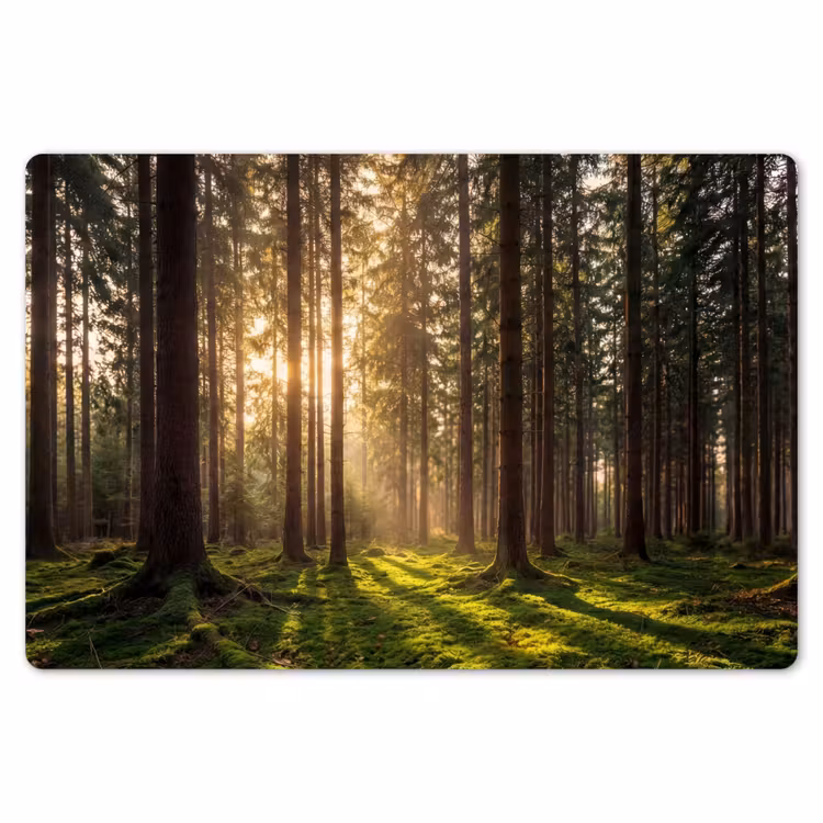 Bos - Gras - Zonlicht Placemat vinyl groot -zzsfeer1_Kitchenyeah-website