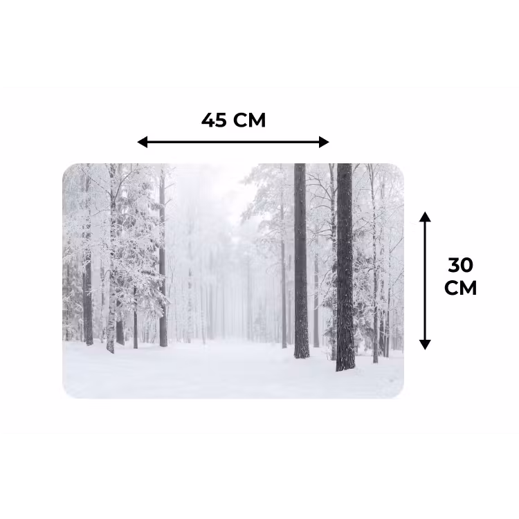 Bos - Sneeuw - Pad - Winter - Stilte Placemat vinyl groot -specs