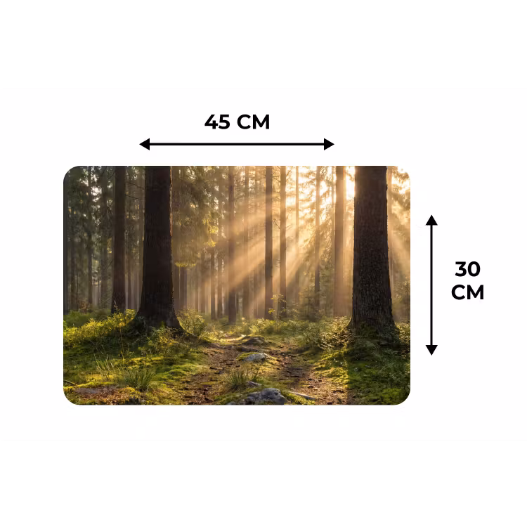 Bos - Zonlicht - Gras Placemat vinyl groot -specs