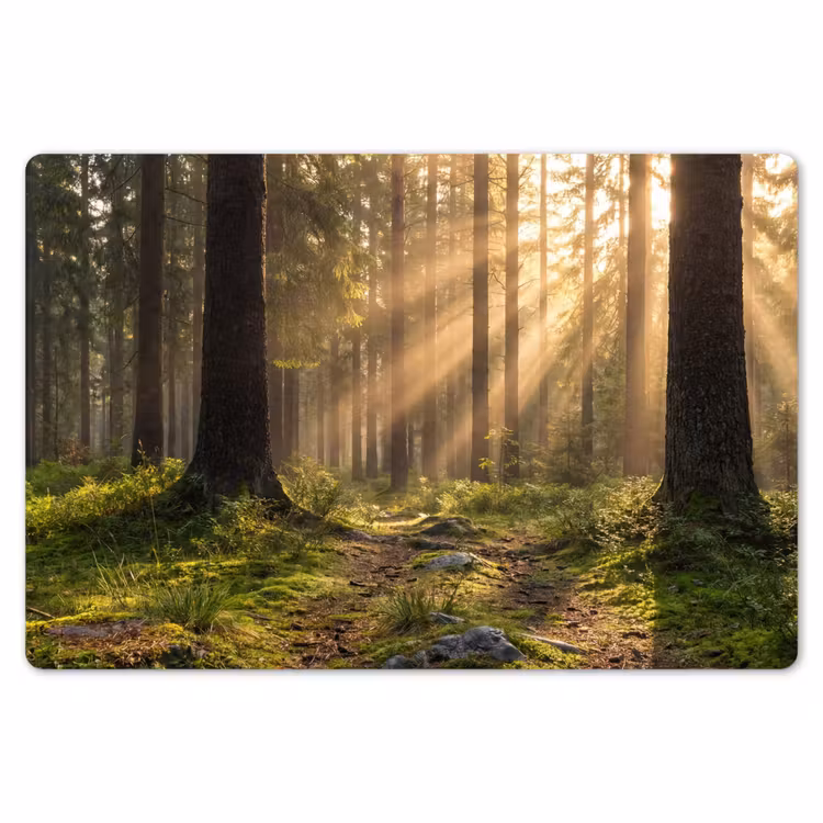 Bos - Zonlicht - Gras Placemat vinyl groot -zzsfeer1_Kitchenyeah-website