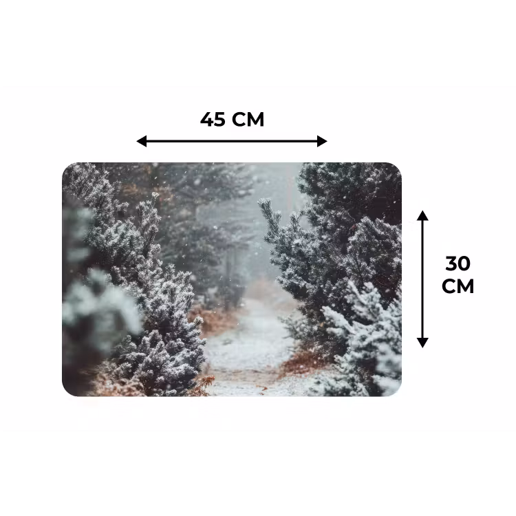 Bos - Winter - Bomen - Natuur - Pad - Sneeuw Placemat vinyl groot -specs