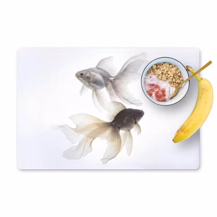 Goudvissen - Modern - Wit Placemat vinyl groot -zzzproduct_Kitchenyeah-website