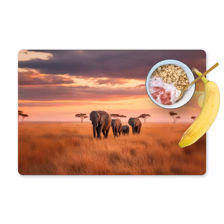 Groep olifanten - Open vlakte - Zon Placemat vinyl groot -zzzproduct_Kitchenyeah-website