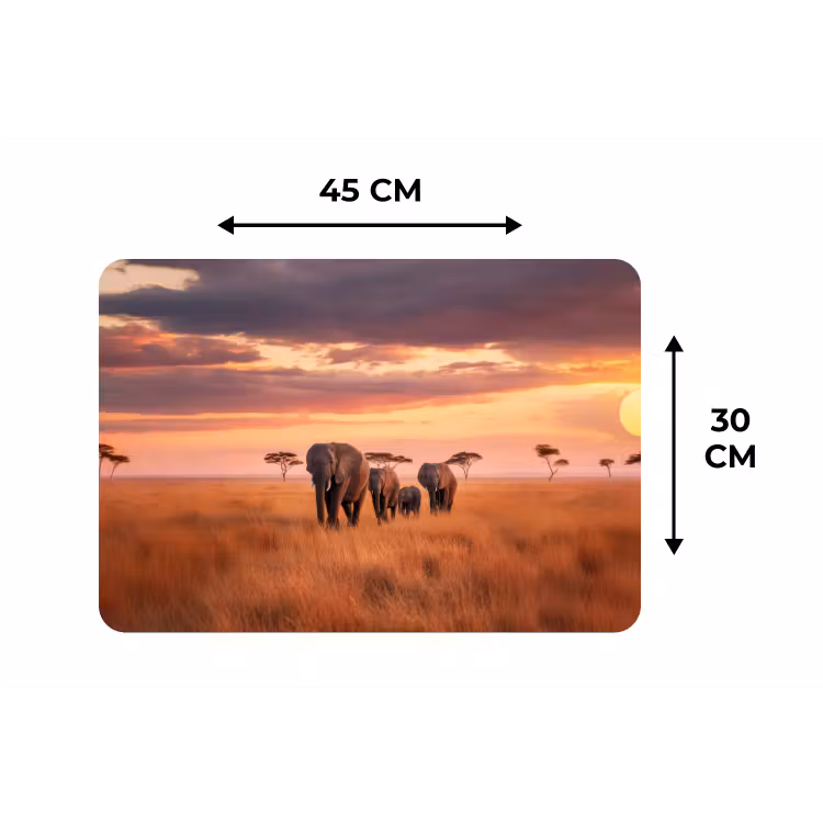 Groep olifanten - Open vlakte - Zon Placemat vinyl groot -specs