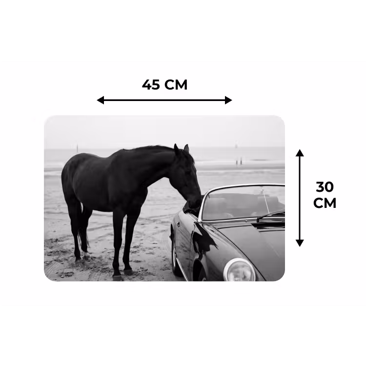 Paard - Auto - Zwart - Wit Placemat vinyl groot -specs