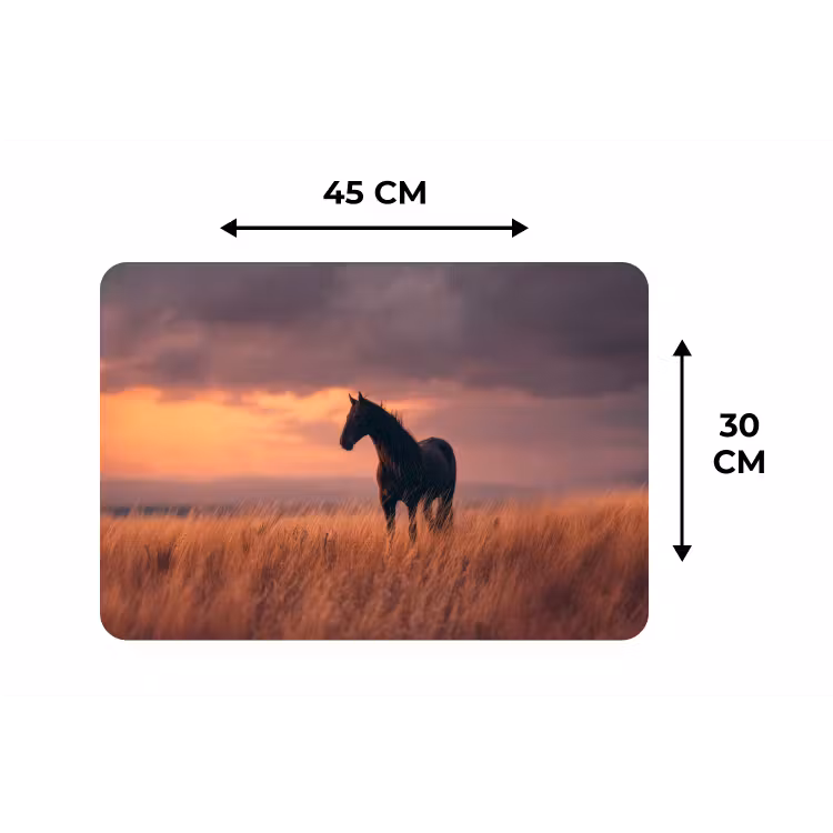 Paard - Wolken - Open veld Placemat vinyl groot -specs
