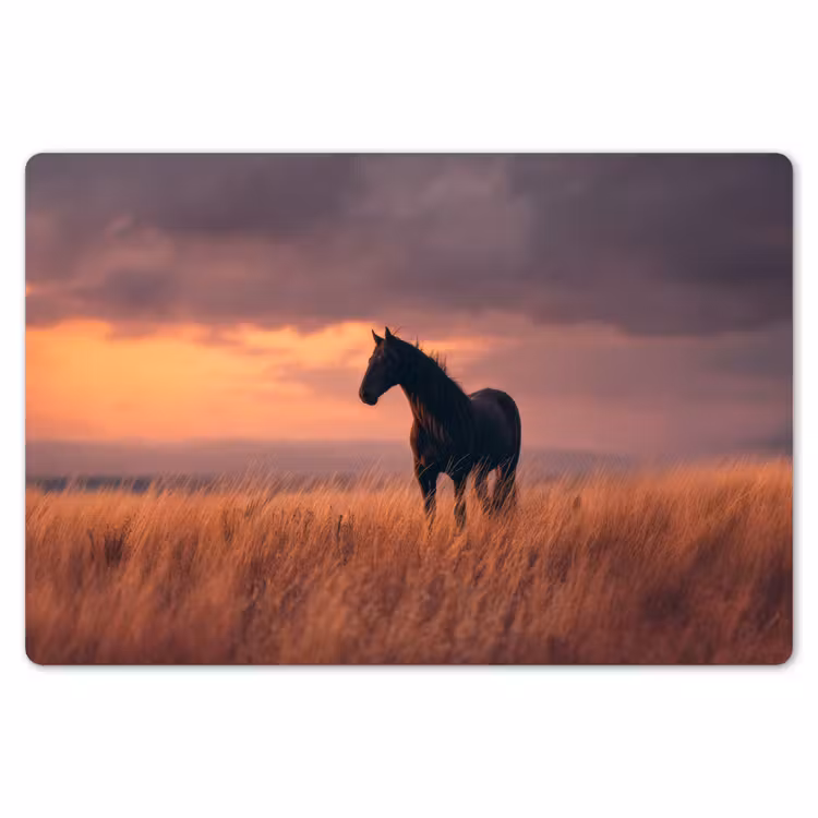 Paard - Wolken - Open veld Placemat vinyl groot -zzsfeer1_Kitchenyeah-website