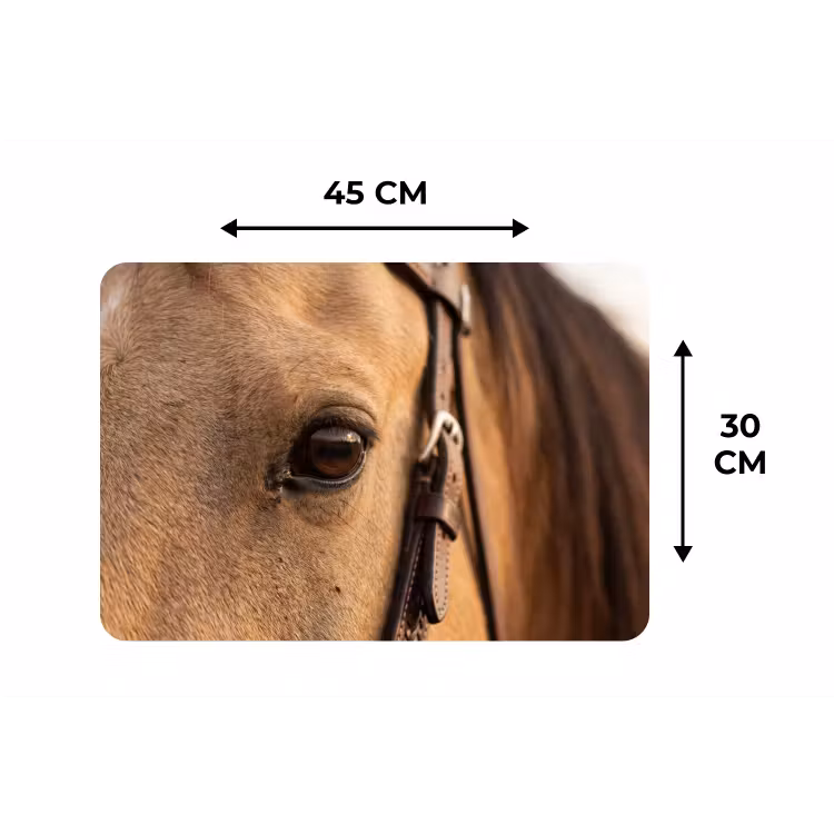 Paard - Oog - Bruin Placemat vinyl groot -specs
