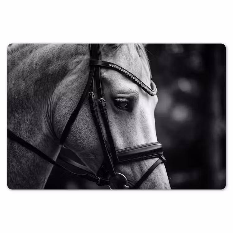 Paard - Schimmel - Portret Placemat vinyl groot -zzsfeer1_Kitchenyeah-website