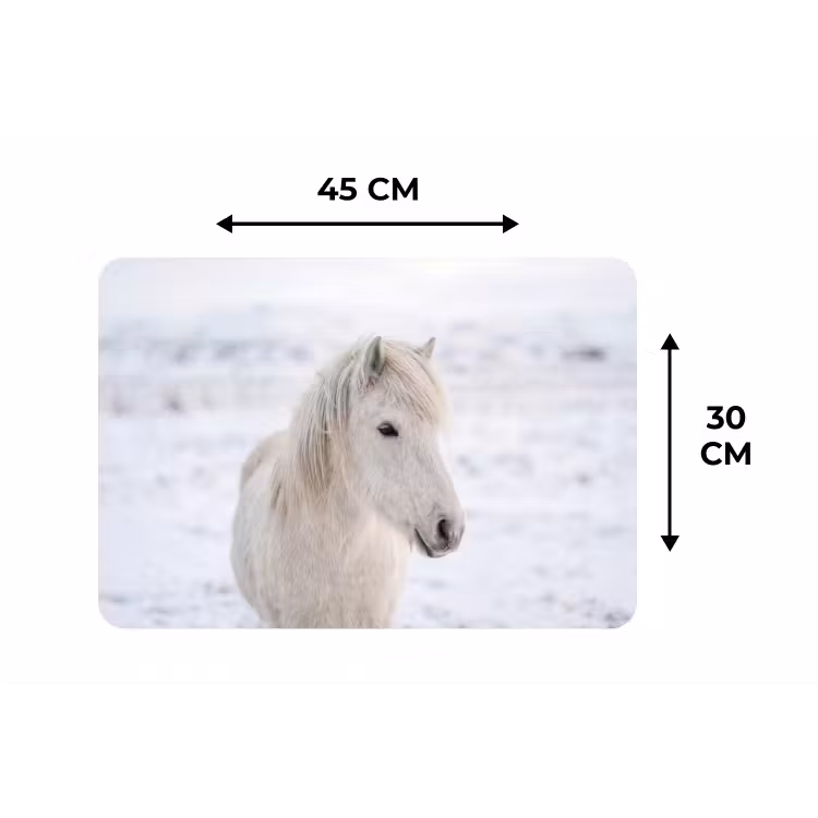 Paard - Kop - Winter - Dieren - Wit Placemat vinyl groot -specs