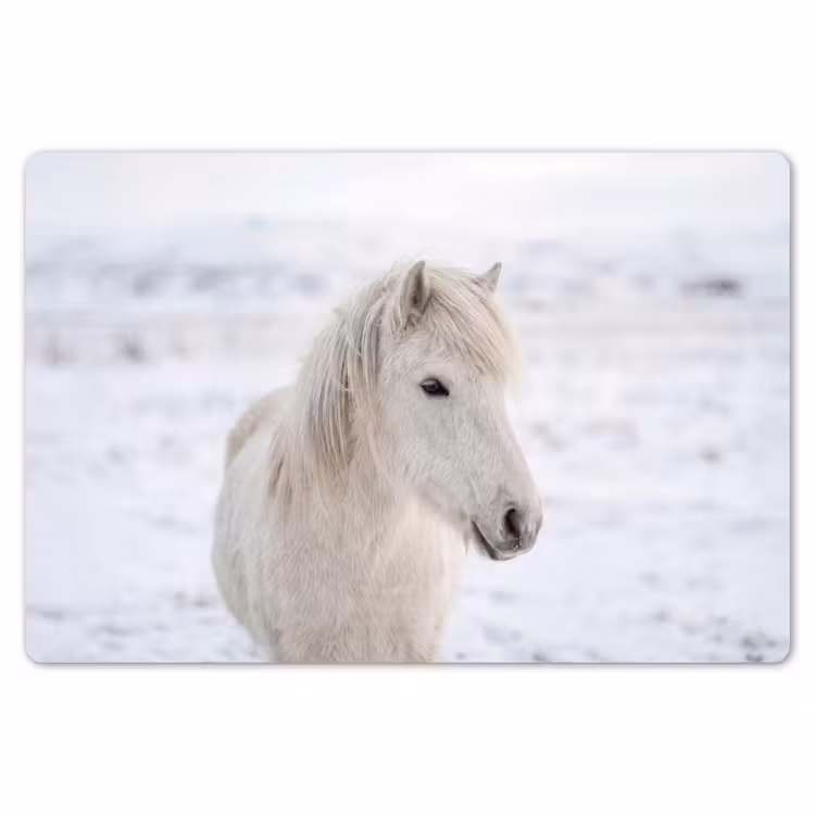 Paard - Kop - Winter - Dieren - Wit Placemat vinyl groot -zzsfeer1_Kitchenyeah-website