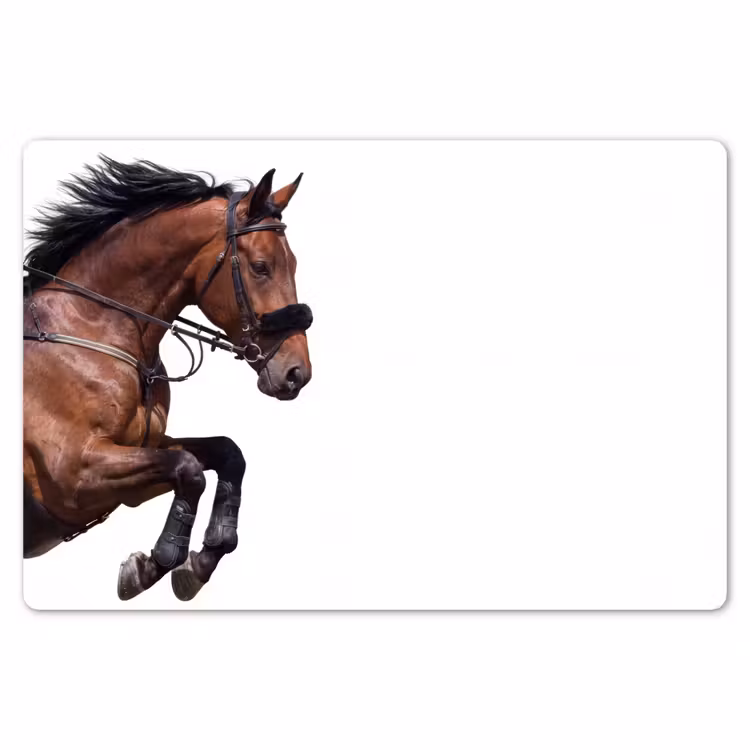 Paard - Springen - Modern Placemat vinyl groot -zzsfeer1_Kitchenyeah-website