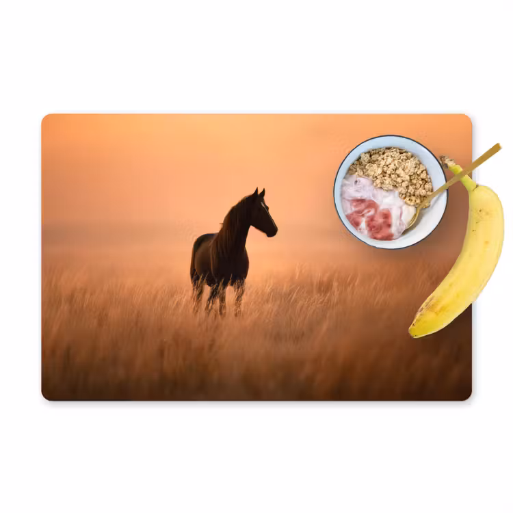 Paard - Grasveld - Zonsondergang Placemat vinyl groot -zzzproduct_Kitchenyeah-website