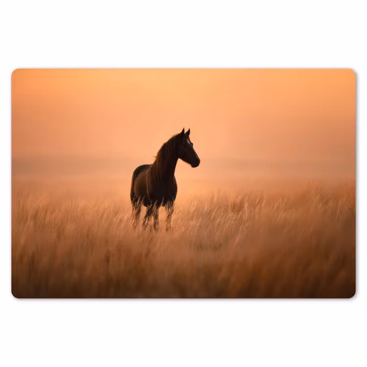 Paard - Grasveld - Zonsondergang Placemat vinyl groot -zzsfeer1_Kitchenyeah-website