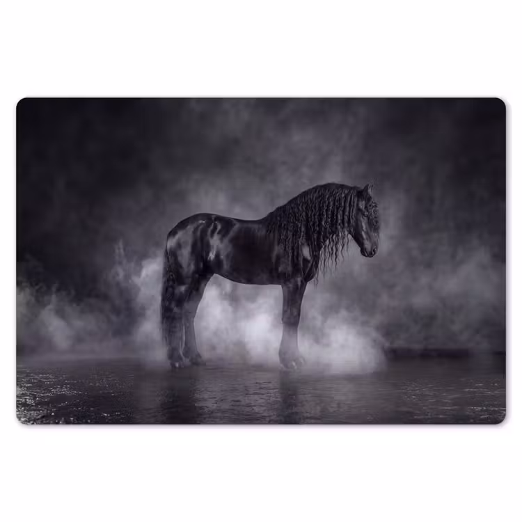 Paard - Magisch - Zwart Placemat vinyl groot -zzsfeer1_Kitchenyeah-website