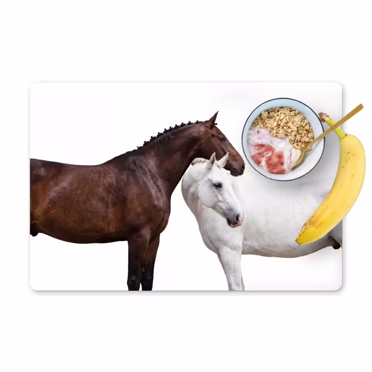 Paard - Modern - Balans Placemat vinyl groot -zzzproduct_Kitchenyeah-website
