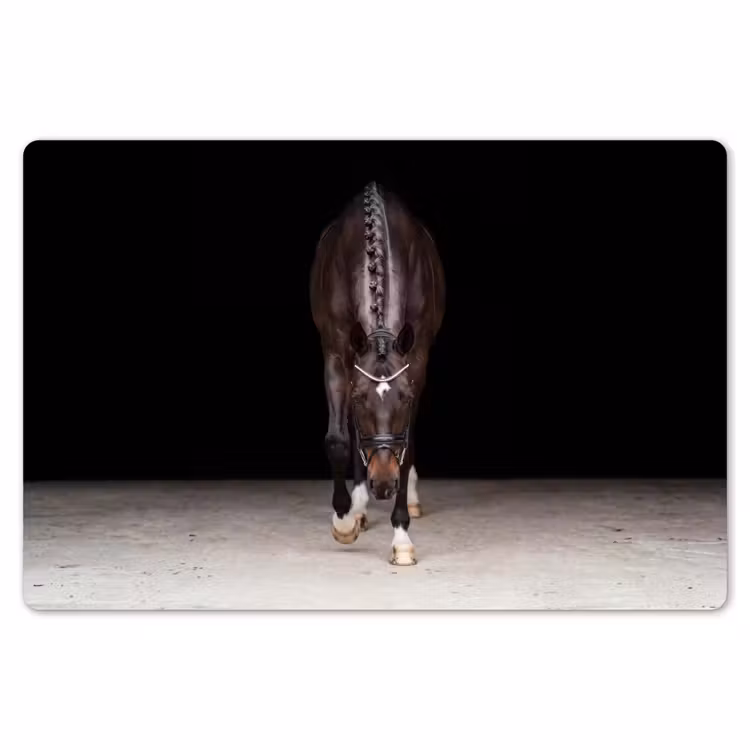 Paard - Modern - Portret Placemat vinyl groot -zzsfeer1_Kitchenyeah-website