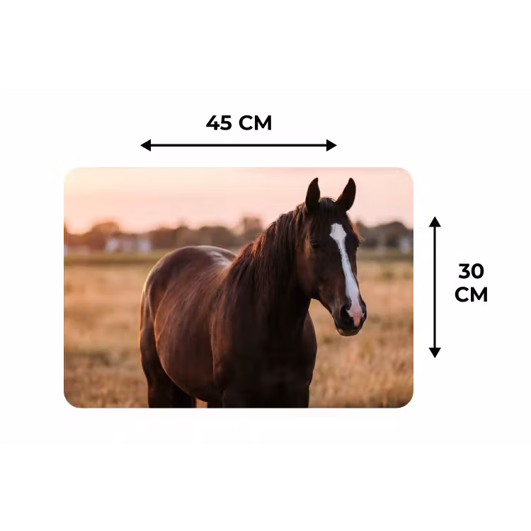 Paard - Zonsondergang - Bruin Placemat vinyl groot -specs