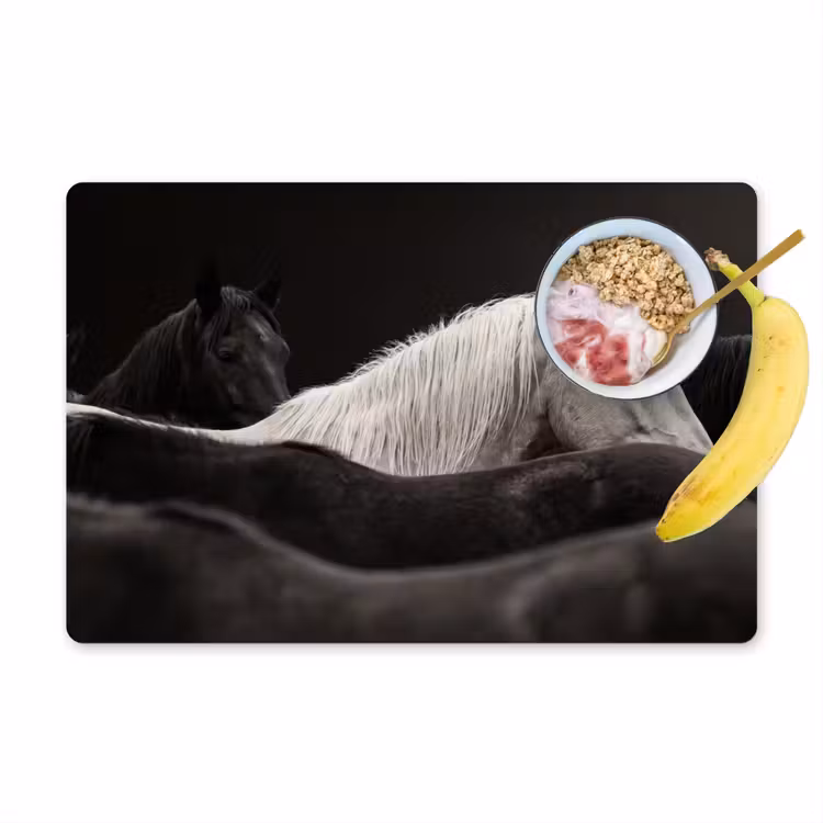Paarden - Zwart - Wit - Kudde Placemat vinyl groot -zzzproduct_Kitchenyeah-website