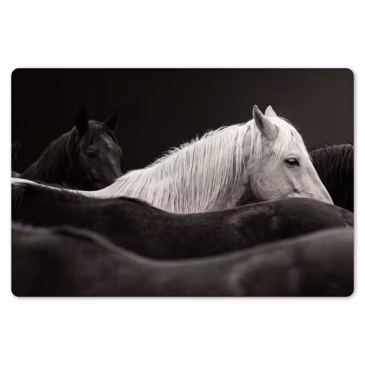 Paarden - Zwart - Wit - Kudde Placemat vinyl groot -zzsfeer1_Kitchenyeah-website