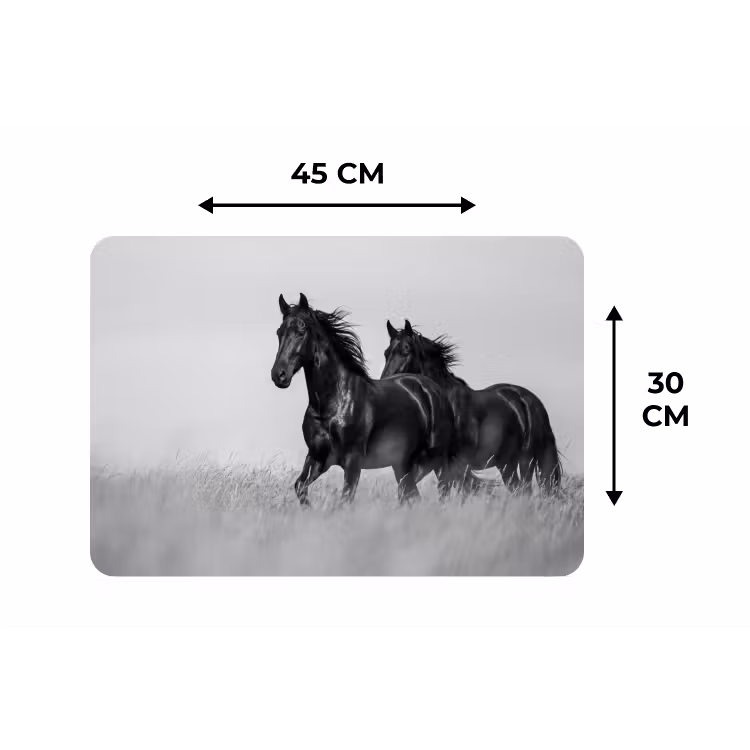 Paarden - Gras - Zwart - Wit Placemat vinyl groot -specs