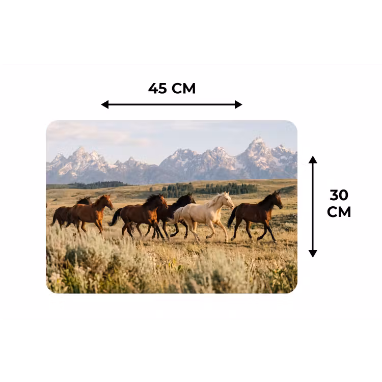 Paarden - Kudde - Bergen - Vrijheid - Wild Placemat vinyl groot -specs