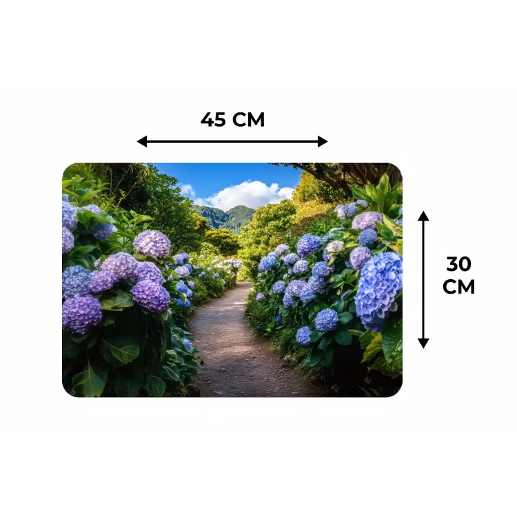 Hortsensia - Pad - Bloemen Placemat vinyl groot -specs