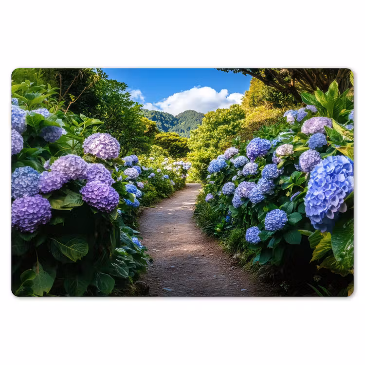 Hortsensia - Pad - Bloemen Placemat vinyl groot -zzsfeer1_Kitchenyeah-website