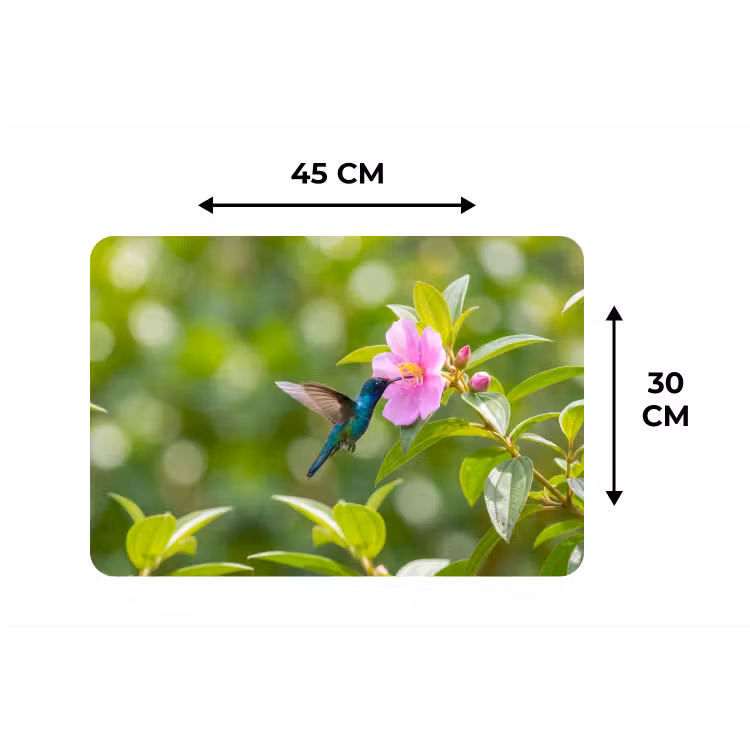 Kolibrie - Bloem - Natuur - Groen Placemat vinyl groot -specs