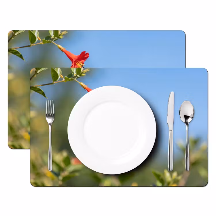 Kolibrie - Bloem - Natuur - Groen Placemat vinyl groot -zzsfeer2_Kitchenyeah-website