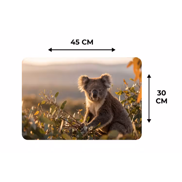 Koala - Bladeren - Ochtendlicht Placemat vinyl groot -specs