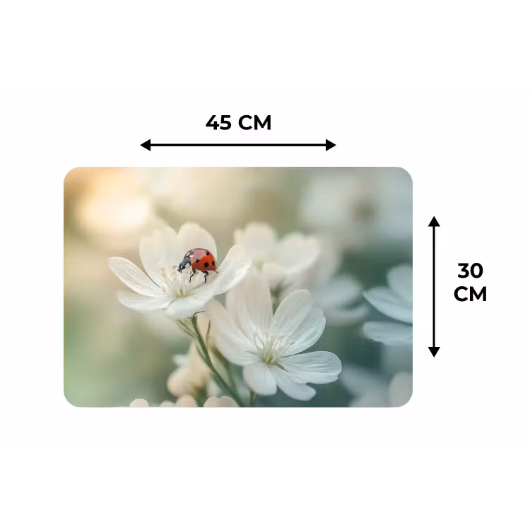 Lieveheersbeestje - Bloemen - Wit Placemat vinyl groot -specs