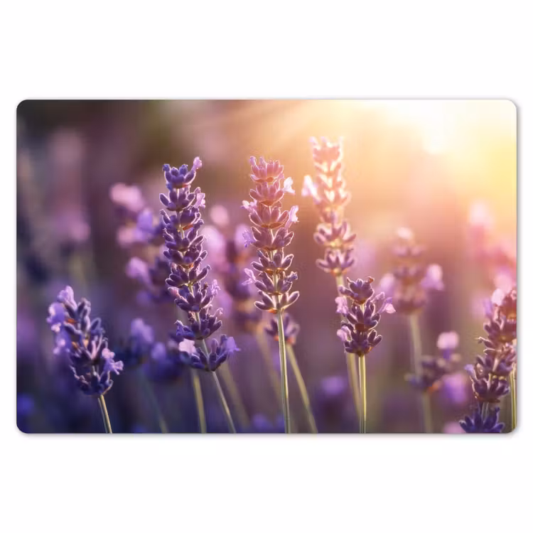Lavendelbloemen - Paars - Zonlicht Placemat vinyl groot -zzsfeer1_Kitchenyeah-website