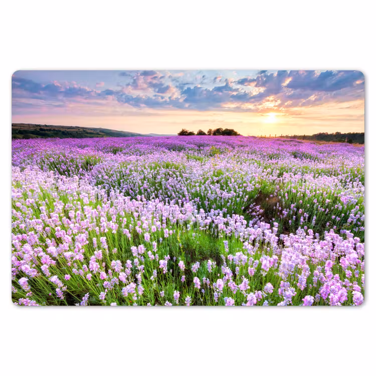 Lavendel - Bloemen - Zonsondergang - Paars - Weide Placemat vinyl groot -zzsfeer1_Kitchenyeah-website