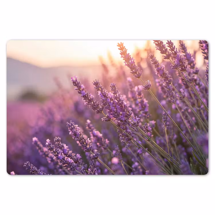 Lavendel - Paars - Zonlicht Placemat vinyl groot -zzsfeer1_Kitchenyeah-website