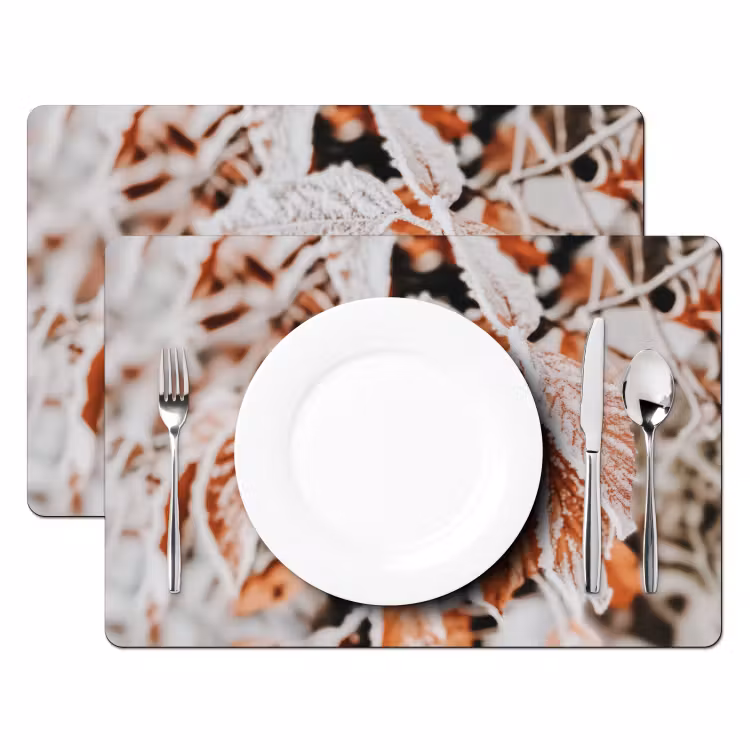 Bladeren - IJs - Winter - Natuur Placemat vinyl groot -zzsfeer2_Kitchenyeah-website