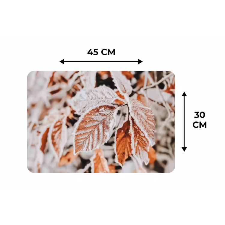 Bladeren - IJs - Winter - Natuur Placemat vinyl groot -specs