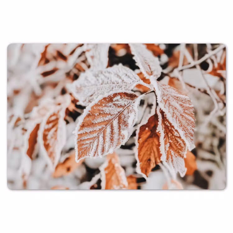 Bladeren - IJs - Winter - Natuur Placemat vinyl groot -zzsfeer1_Kitchenyeah-website